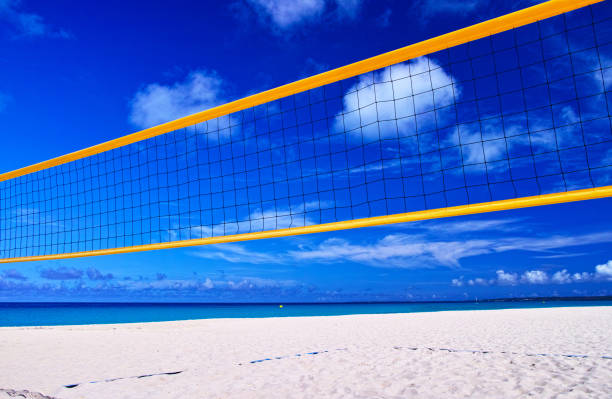 Beach Volleyball Court Dimensions