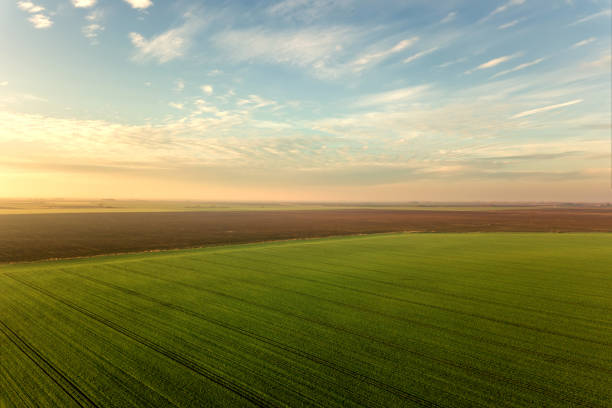 How Big is a Quarter Acre of Land